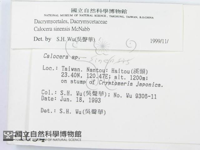 登錄號:F0001054藏品圖，第2張