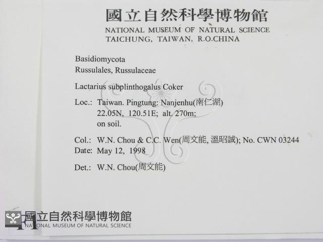 登錄號:F0011054藏品圖，第2張