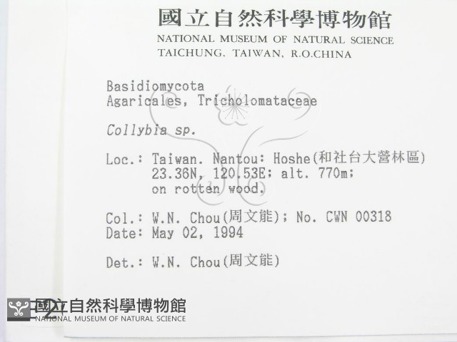 登錄號:F0002054藏品圖，第2張