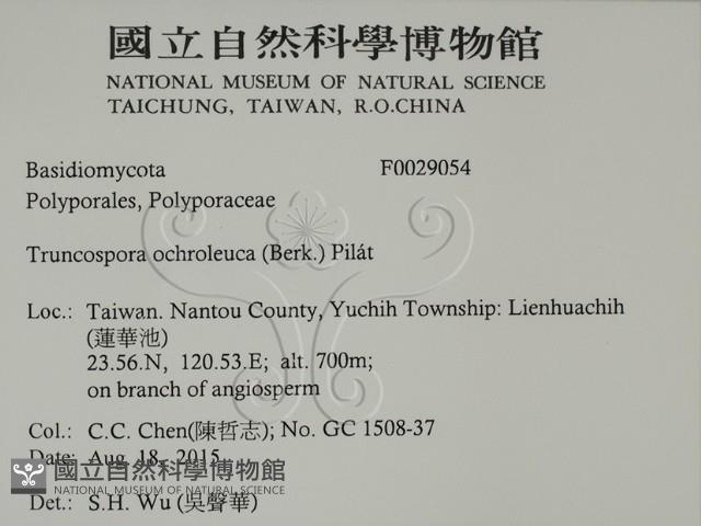 登錄號:F0029054藏品圖，第2張