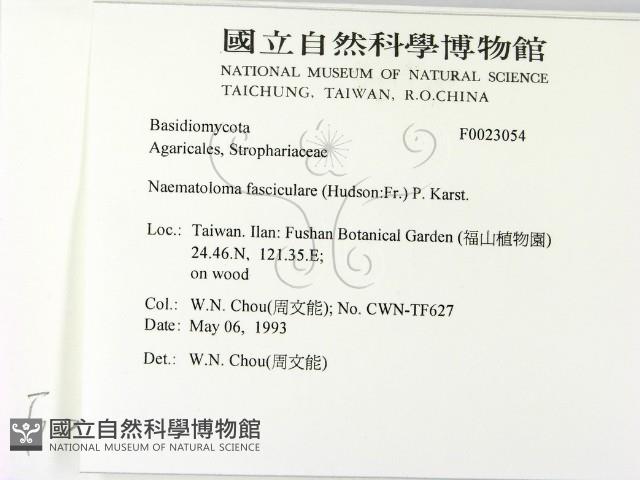 登錄號:F0023054藏品圖，第2張