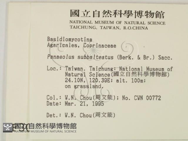 登錄號:F0003054藏品圖，第2張