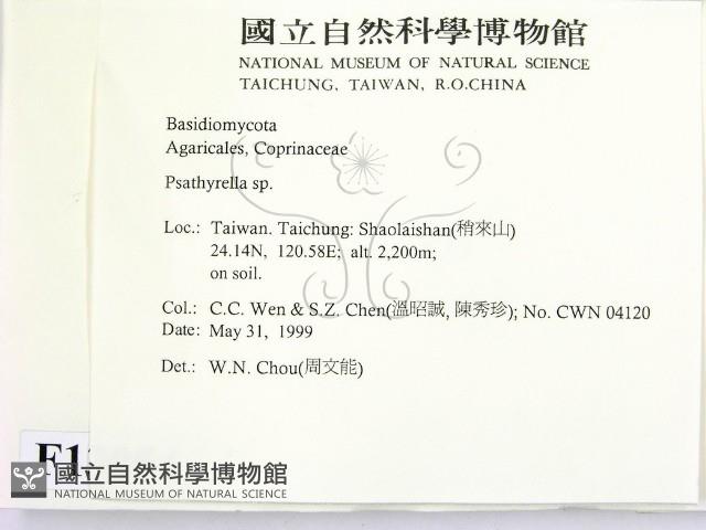 登錄號:F0013054藏品圖，第2張