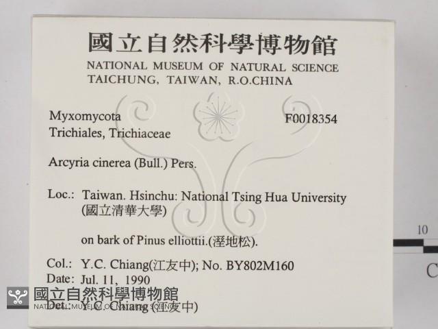 登錄號:F0018354藏品圖，第2張