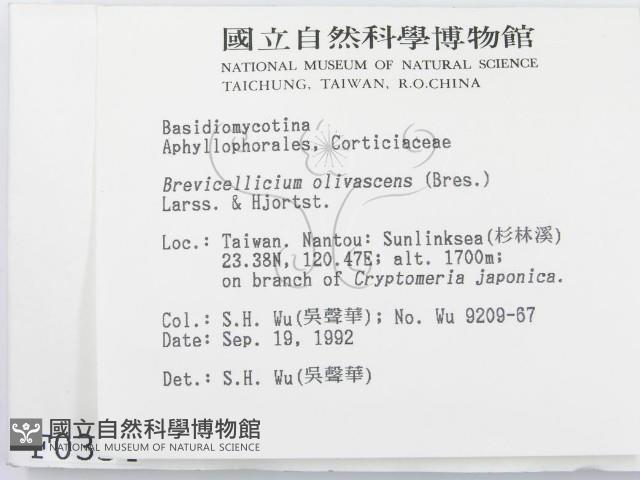 登錄號:F0000354藏品圖，第2張