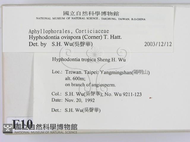 登錄號:F0010354藏品圖，第2張