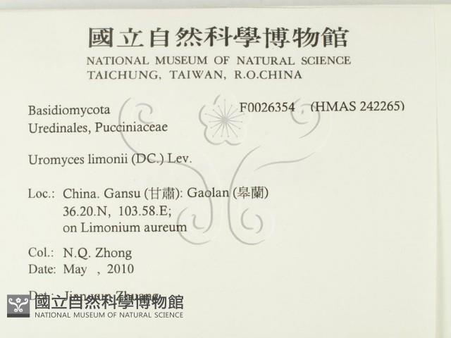 登錄號:F0026354藏品圖，第2張