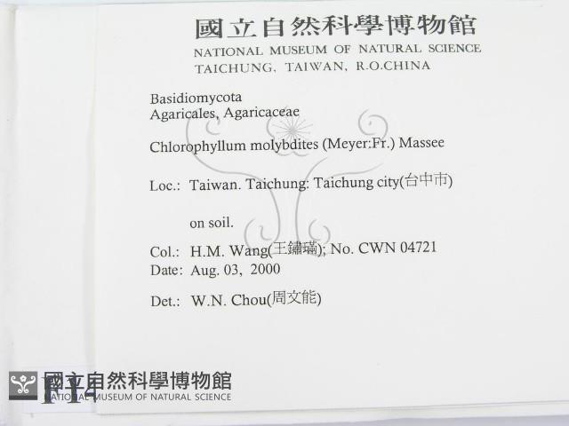 登錄號:F0014354藏品圖，第2張