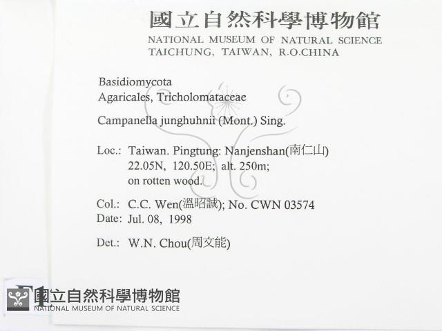登錄號:F0012354藏品圖，第2張
