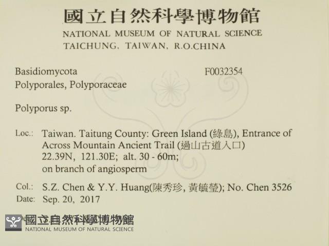 多孔菌屬藏品圖，第2張