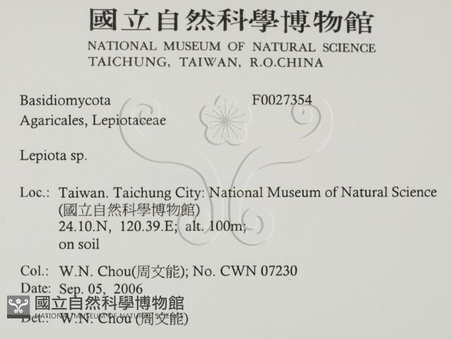 登錄號:F0027354藏品圖，第2張