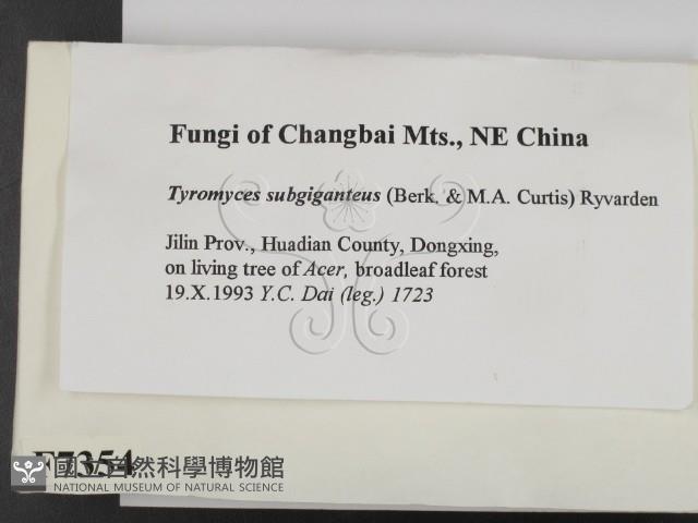 登錄號:F0007354藏品圖，第2張