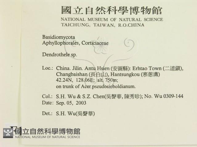登錄號:F0015354藏品圖，第2張
