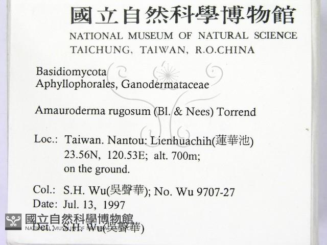 登錄號:F0009354藏品圖，第2張