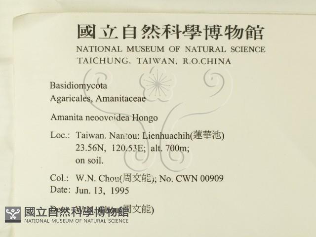 登錄號:F0003354藏品圖，第2張