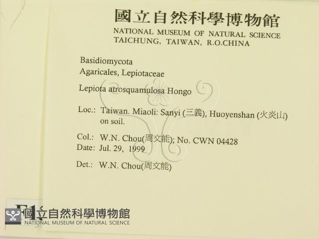 登錄號:F0013354藏品圖，第2張