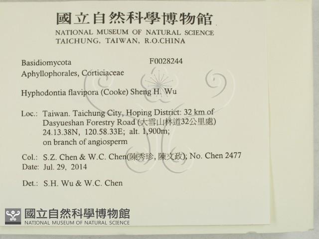 登錄號:F0028244藏品圖，第2張