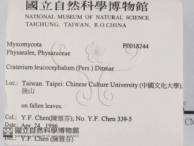 登錄號:F0018244藏品圖，第2張