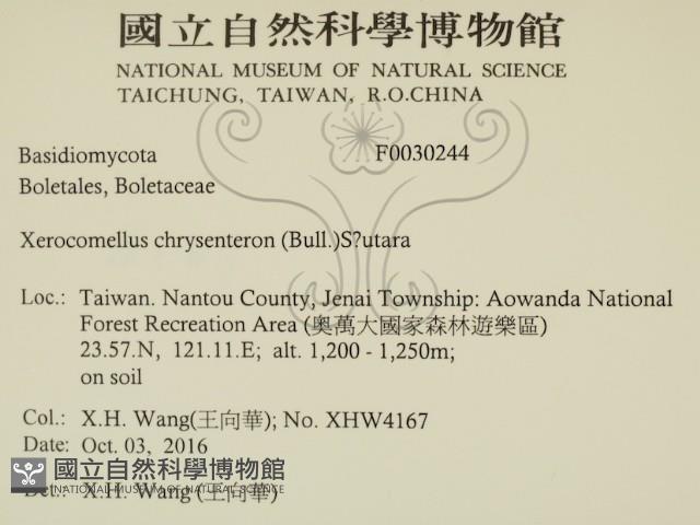 登錄號:F0030244藏品圖，第2張
