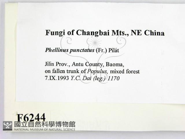 登錄號:F0006244藏品圖，第2張