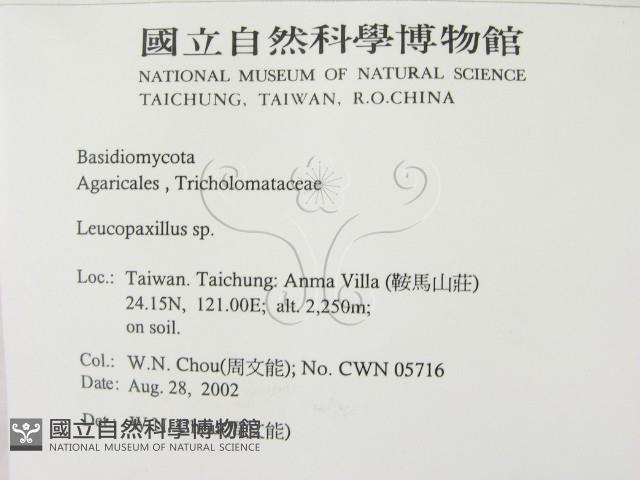 登錄號:F0016244藏品圖，第2張