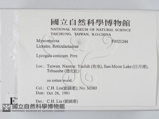 館號:F0021244藏品圖，第2張