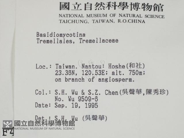 登錄號:F0004244藏品圖，第2張