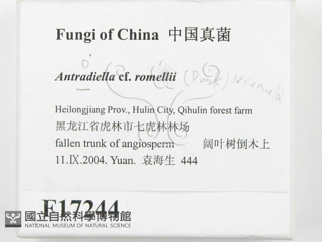 登錄號:F0017244藏品圖，第2張