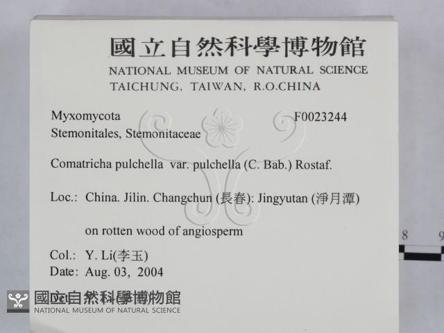 登錄號:F0023244藏品圖，第2張