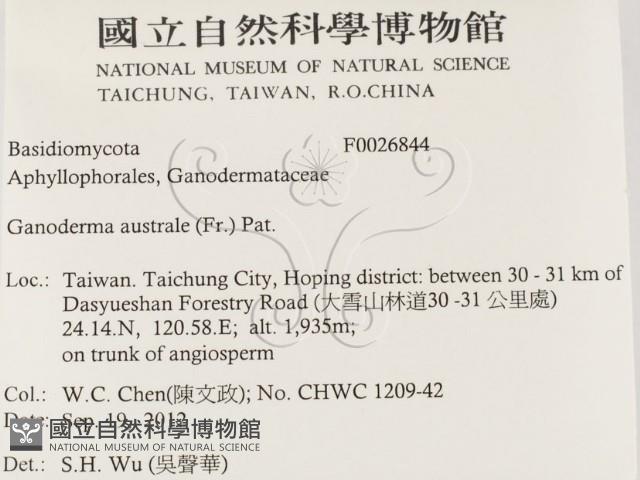 登錄號:F0026844藏品圖，第2張