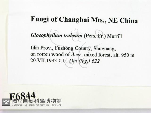 登錄號:F0006844藏品圖，第2張