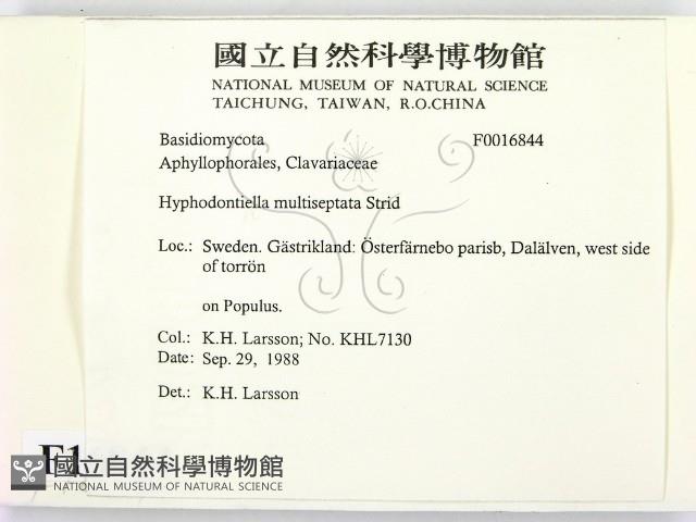 登錄號:F0016844藏品圖，第2張
