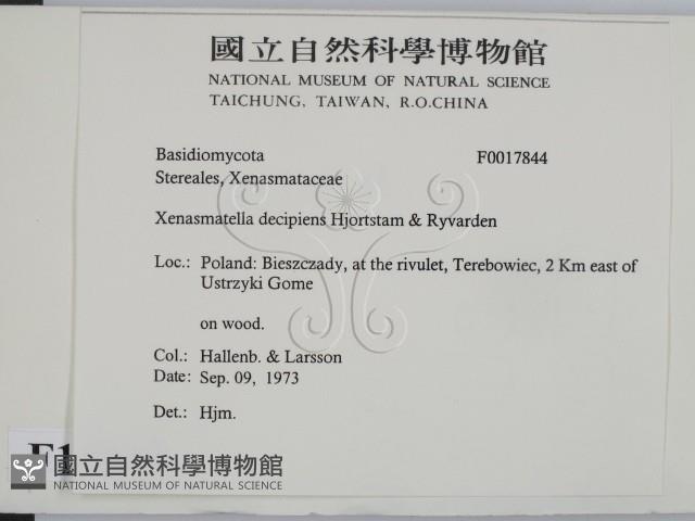 登錄號:F0017844藏品圖，第2張