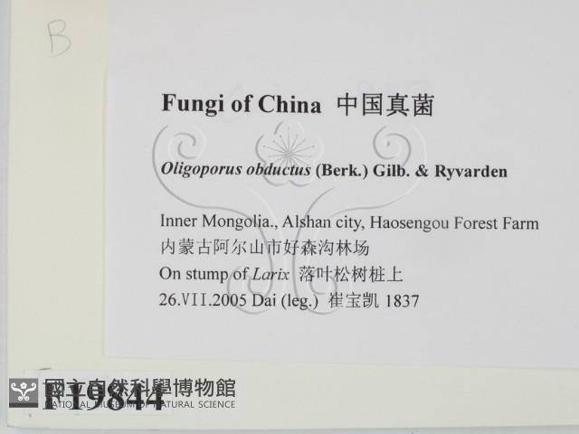 登錄號:F0019844藏品圖，第2張