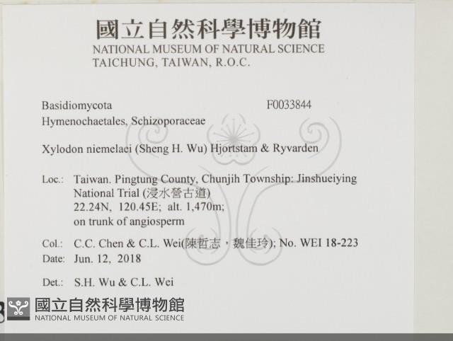 登錄號:F0033844藏品圖，第2張