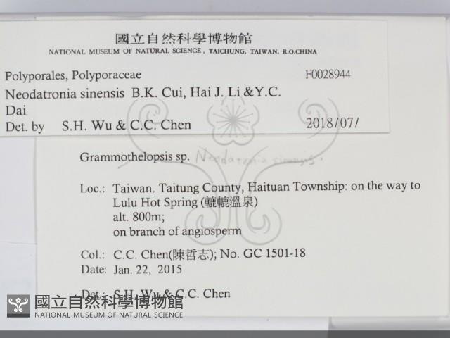 登錄號:F0028944藏品圖，第2張