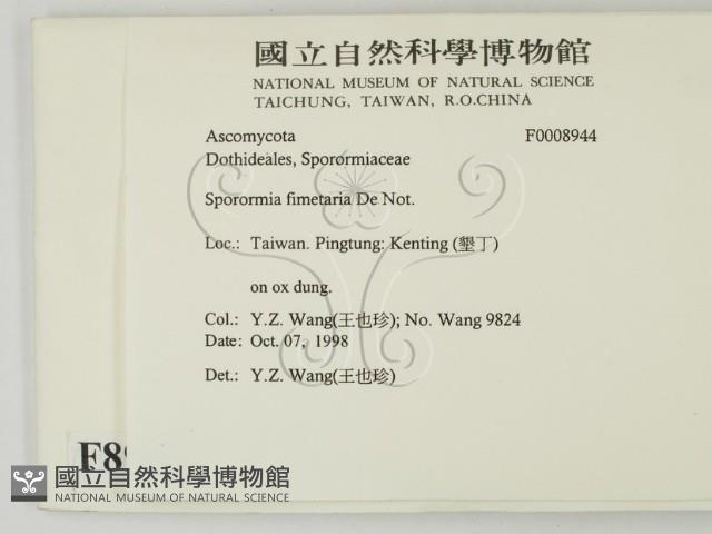 登錄號:F0008944藏品圖，第2張