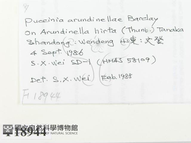 登錄號:F0018944藏品圖，第2張