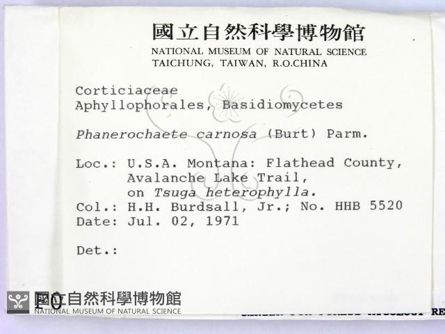 登錄號:F0000944藏品圖，第2張