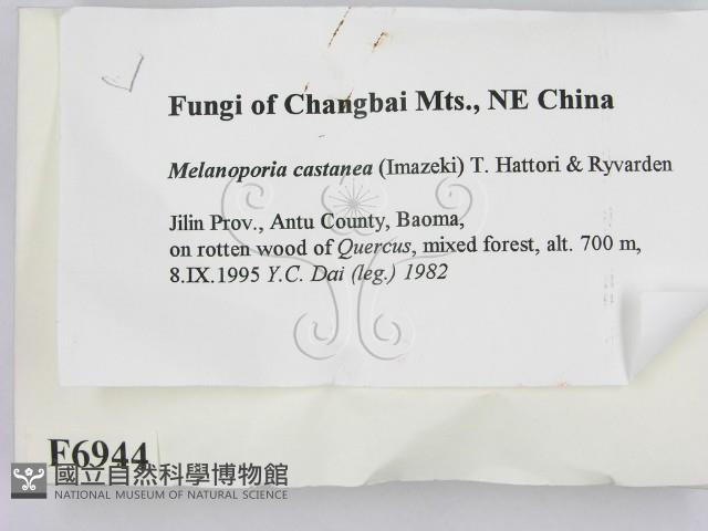 登錄號:F0006944藏品圖，第2張