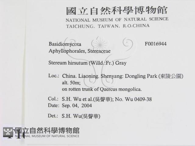 登錄號:F0016944藏品圖，第2張