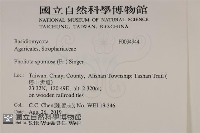 登錄號:F0034944藏品圖，第2張