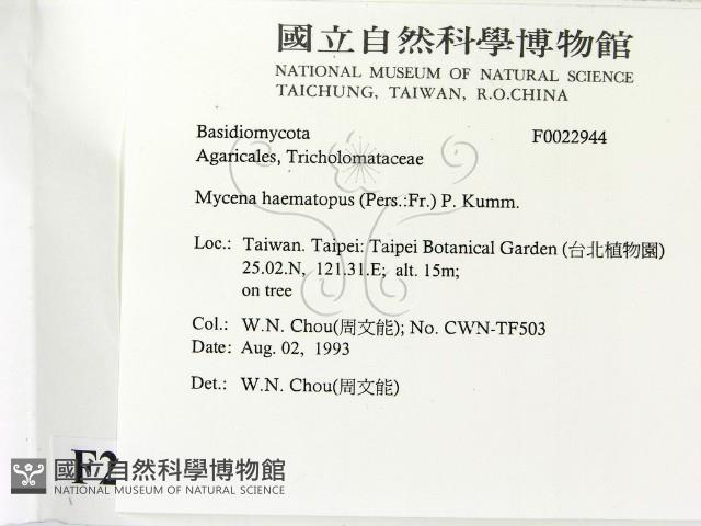 登錄號:F0022944藏品圖，第2張