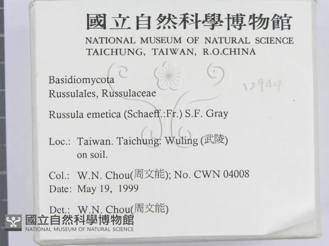 登錄號:F0012944藏品圖，第2張