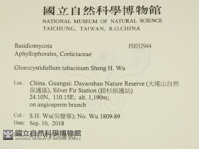 登錄號:F0032944藏品圖，第2張