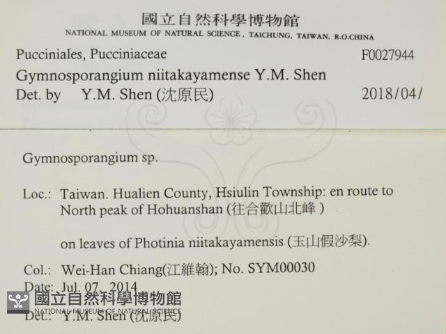 登錄號:F0027944藏品圖，第2張