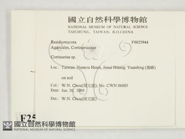 登錄號:F0025944藏品圖，第2張