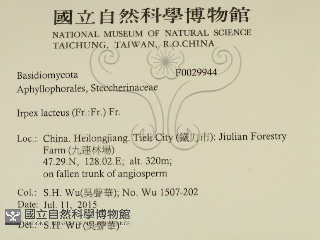 登錄號:F0029944藏品圖，第2張