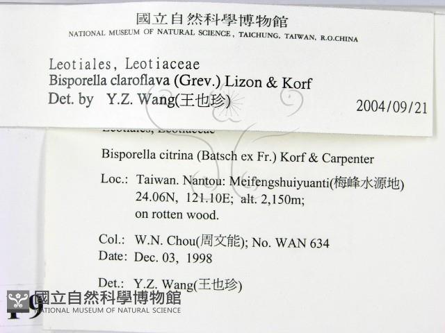 登錄號:F0009944藏品圖，第2張