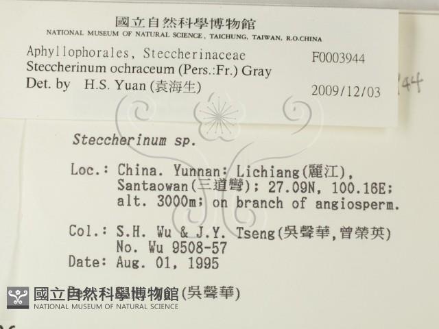 登錄號:F0003944藏品圖，第2張